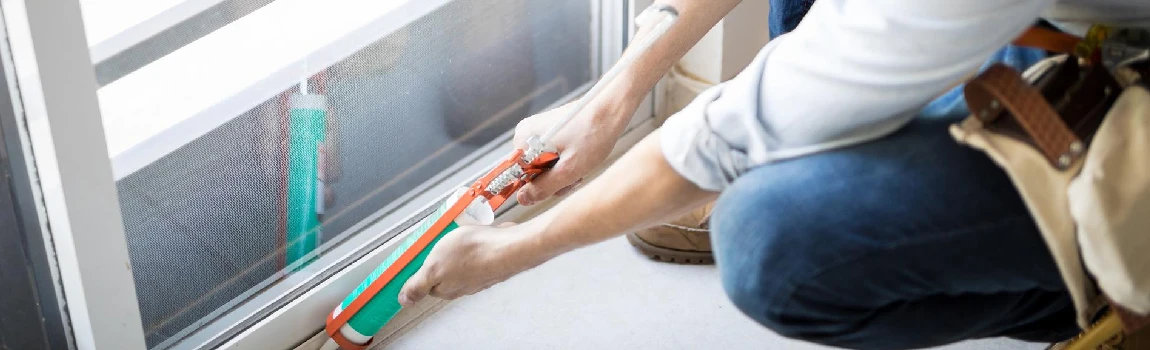 Emergency Window Replacement Services in Safety Harbor, FL